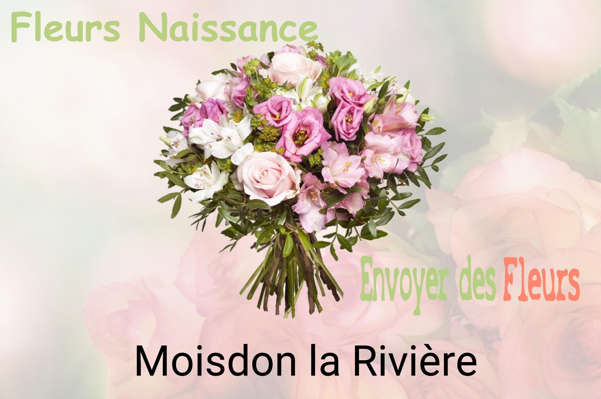 Bouquet de fleurs de naissance livré à Moisdon-la-Rivière